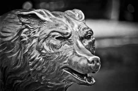 Bronze wolf head that growls and shows teethの写真素材
