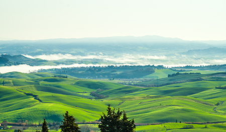 fog that rises in the morning sunlight on the Tuscan countryside cultivated with farm and rows of trees, cypresses, poplars and cultivated fieldsの写真素材