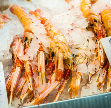 prawns caught in the sea and frozen immediately