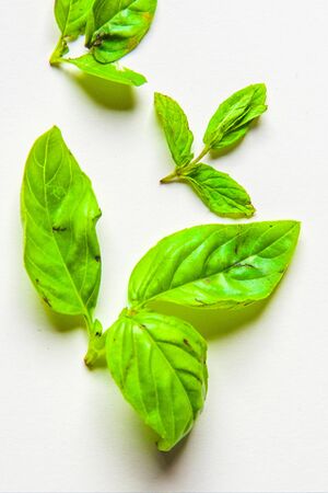 aromatic herbs and spices washed and ready for your recipes, for infusions and liqueurs - basilの写真素材
