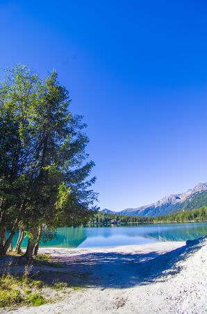 bright blue mountain lake under the blue sky and around green woods and granite stones and snow at the topの写真素材