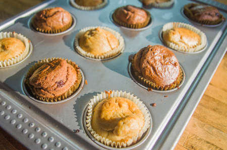 morning sunlight illuminates small cream and chocolate muffins, hot and steaming, fresh out of the oven ready for breakfastの写真素材