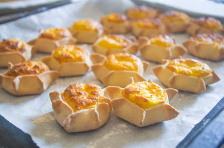 star-shaped sweets with excellent cream prepared with fresh eggs and ricottaの写真素材