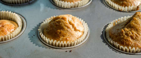morning sunlight illuminates small cream and chocolate muffins, hot and steaming, fresh out of the oven ready for breakfastの写真素材
