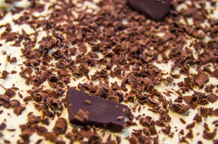 Tiramisu, the excellent Italian dessert homemade by the mother with coffee, mascarpone and chocolate, tiramisu.の写真素材