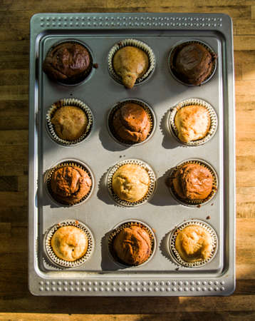 morning sunlight illuminates small cream and chocolate muffins, hot and steaming, fresh out of the oven ready for breakfastの写真素材