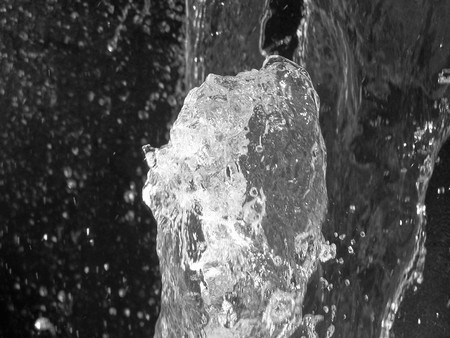 Nature: black and white photo aspect, beautiful detailの写真素材