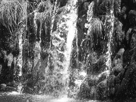 Nature: black and white photo aspect, beautiful detailの写真素材