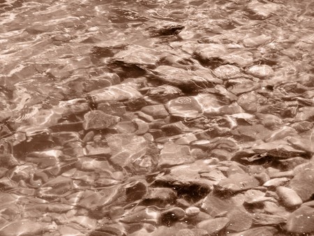 Nature: sepia photo aspect  beautiful detailの写真素材