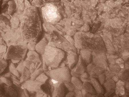 Nature: sepia photo aspect – beautiful detail