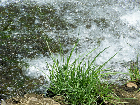 Nature: river, riverside, current water, fountain