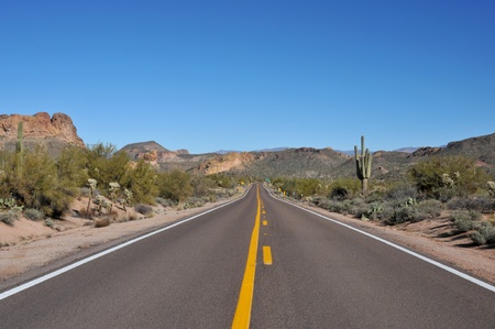 Rural highway through the Arizona desert with lots of cacti and mountains in the backgroundの写真素材