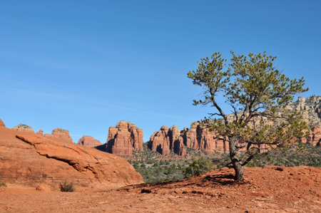 Breathtaking scenery along the Broken Arrow trail in Sedona, Arizonaの写真素材
