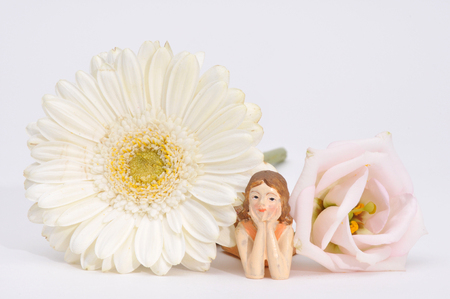 Fairy lounging in the flowersの写真素材
