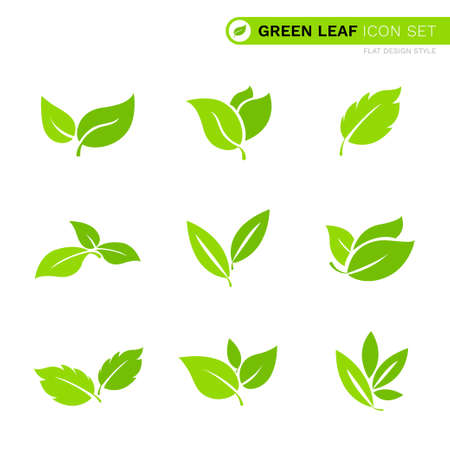 Set of green organic leaf  flat bio eco icon design natural vector isolated on white backgroundのイラスト素材