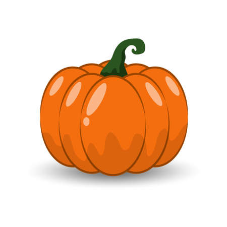 Orange Pumpkin Autumn halloween concept isolated on white backgroundのイラスト素材