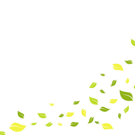 Flying green leafs flat style vector on white backgroundのイラスト素材
