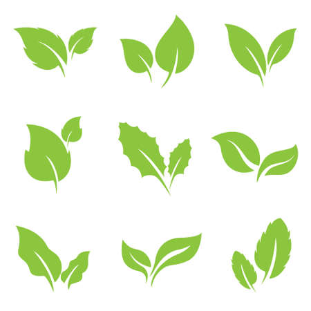 Green leaf nature organic flat bio eco icon set vector isolated on white backgroundのイラスト素材