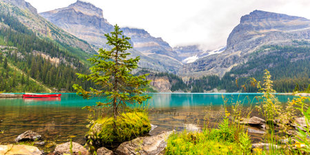 Idyllic Lake O'Hara in Yoho National Park, Alberta Canadaの写真素材