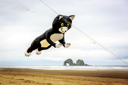 Rockaway Beach, Oregon, USA - May 24, 2015: The annual Rockaway Beach Kite Festival offers great family fun.のeditorial素材
