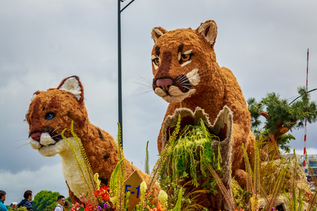 Portland, Oregon, USA - June 9, 2018: Spirit Mountain Casino Float in the Grand Floral Parade, during Portland Rose Festival 2018.のeditorial素材