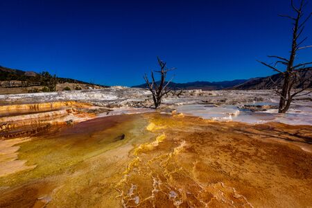Angel Terrace at Mammoth Hot Springs, in Yellowstone National Parkの写真素材