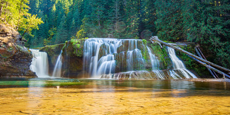 Lower Lewis Falls in Gifford Pinchot National Forest, Washingtonの写真素材