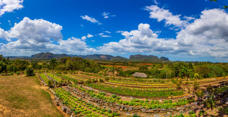 The view of Valle de ViÃ±ales from Finca AgroecolÃ³gica El Paraisoの写真素材
