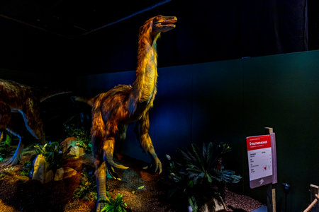 Portland, Oregon - March 19, 2021: Lively Struthiomimus is on exhibition as part of "Dinosaurs Revealedâ at Oregon Museum of Science and Industryのeditorial素材