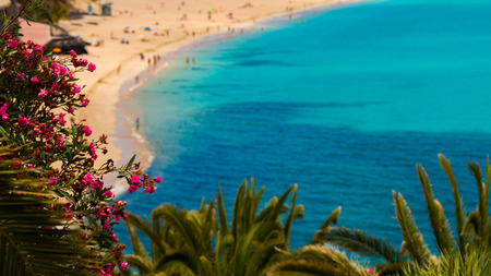 Beach oceanfrontの写真素材