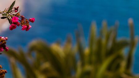 Against the background of the oceanの写真素材