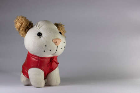 Stuffed dog toy in white backgroundの写真素材