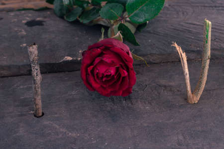 texture valentine dayの写真素材