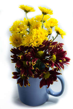 isolate on the white backgroundの写真素材