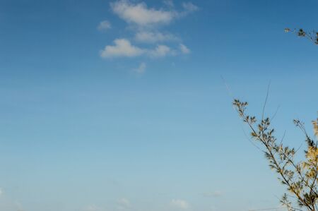 cloud on backgroundの写真素材