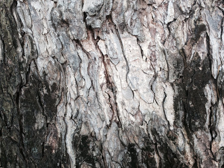 Tree in the background