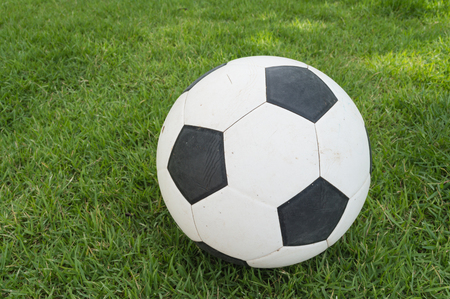 football in the green grasesの写真素材