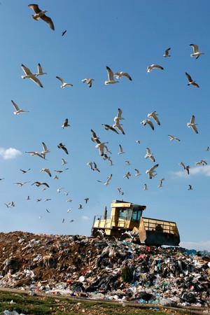 Landfill with bulldozer working, against beautiful blue sky full of sea birds. Great for environment and ecological themes の写真素材