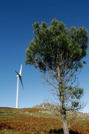 Wind Turbines on a modern windmill farm for alternative energy production.Electricity is powered...