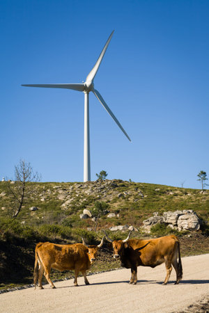 Wind farm. Modern windmills or wind turbines in the countryside landscape.Electricity is powered...