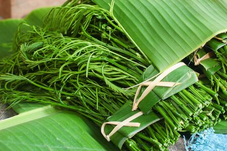 Northern thai people often eat it with papaya salad. In addition, old thai people place banana leaf under vegetable to be unsoiledの写真素材