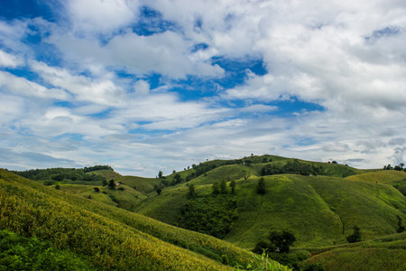 agricultural field on hill with beautiful sky