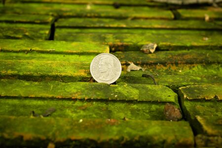 thailand currency on the green groundの写真素材