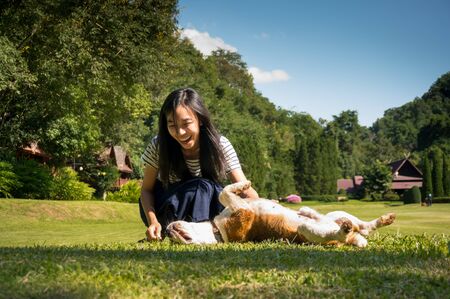 happy girl take care and play with dog, Beagle in valleyの写真素材