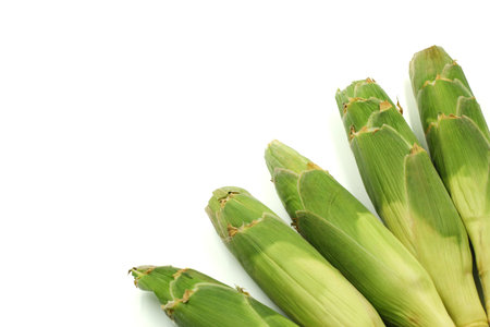 green corn husks with copy space on white background