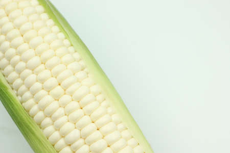 Pure white corn or Hokkaido corn is white corn that eat raw , the taste is  sweet and similar milk , It is popular for people who like to eat corn and higher price than yellow corn in Thailandの写真素材