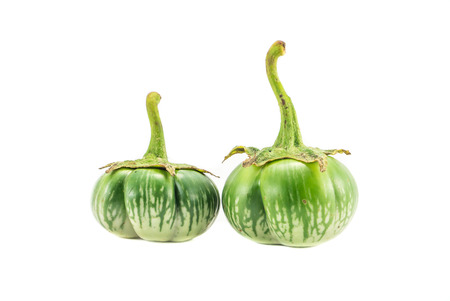 green eggplants on white backgroundの写真素材