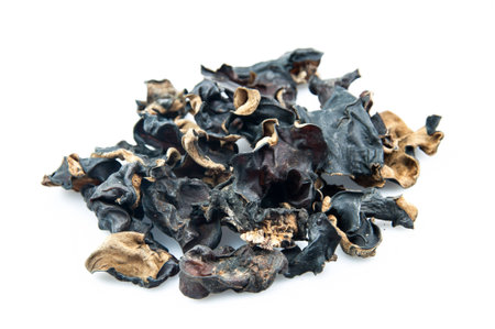 Dried Jew's Ear Mushroomの写真素材