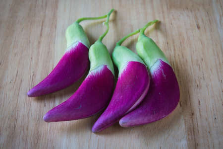 agasta vegetable on wood backgroundの写真素材