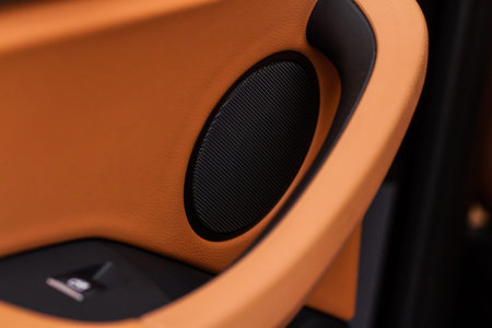 Close up speaker on car door. Sound speaker in a modern car.